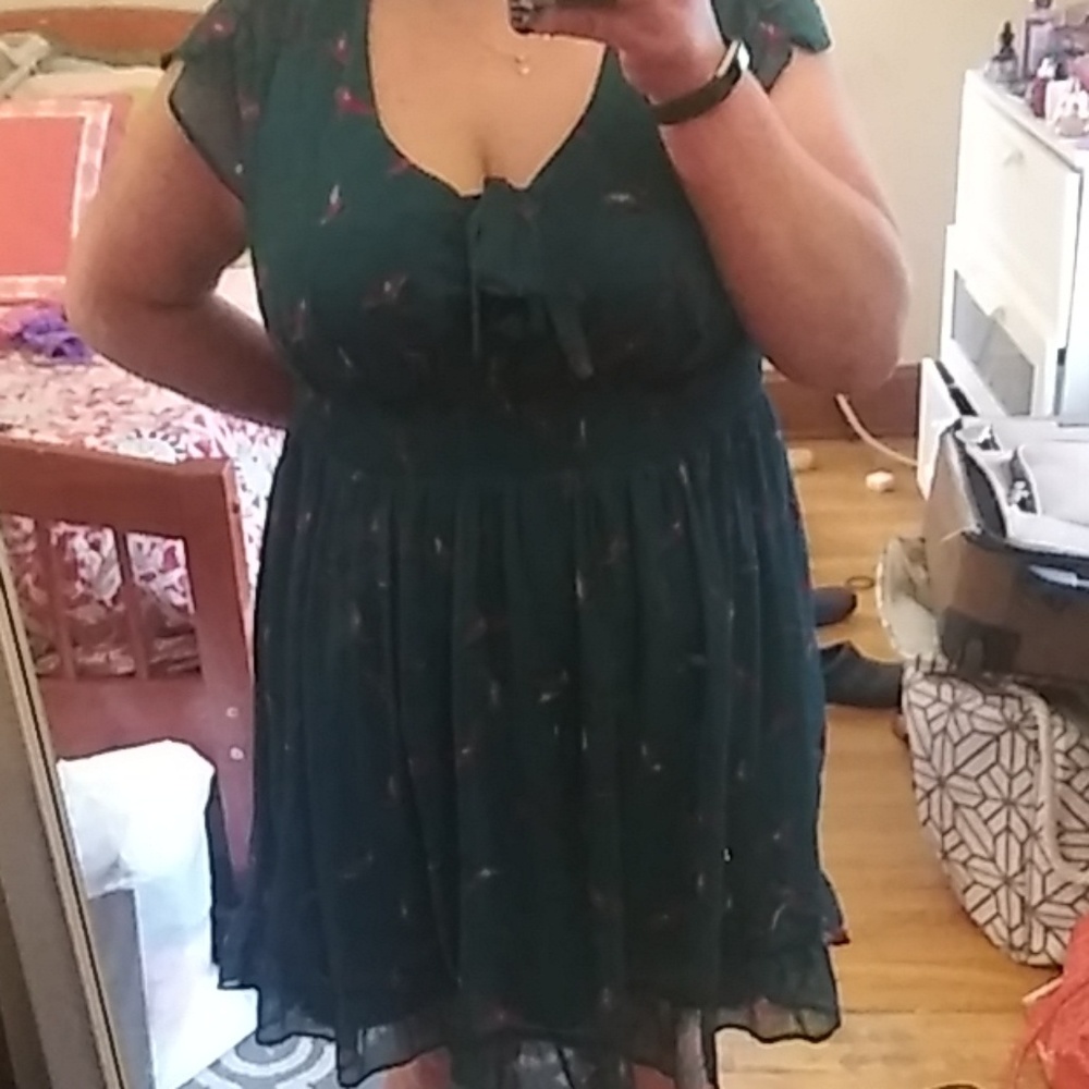 Swollow print dress